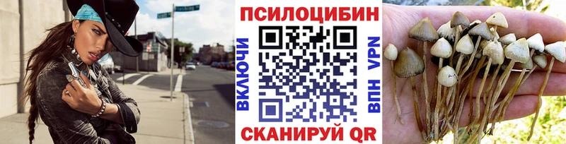 Галлюциногенные грибы Magic Shrooms  mega онион  Сольцы 